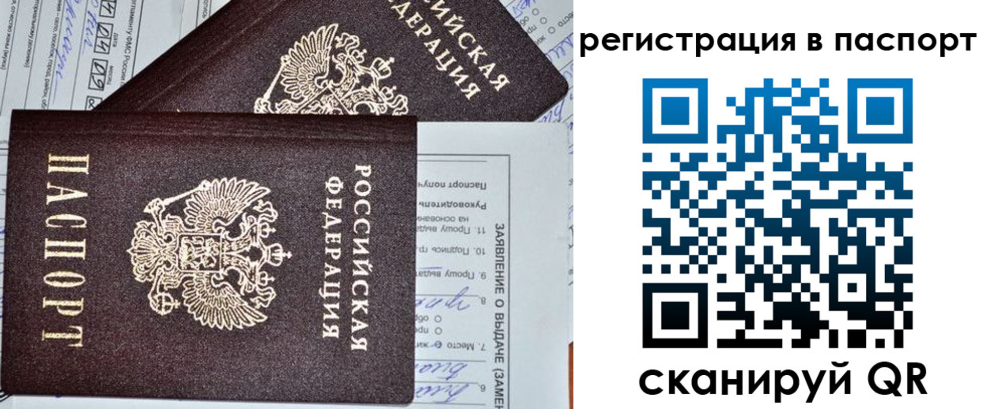 прописка законно в Железногорске